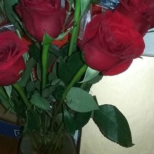 Meet your Posher, Carey